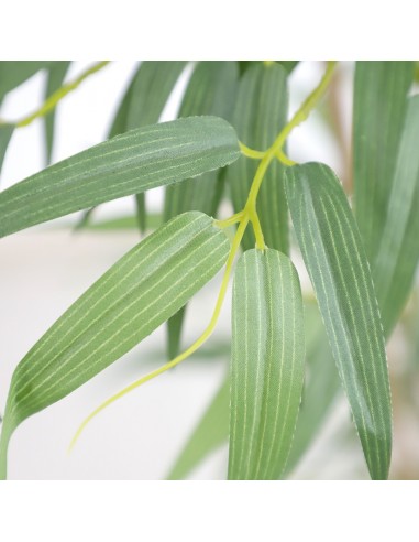 BAMBOO  NP5801_150_22_UV   ΥΨΟΣ 150cm