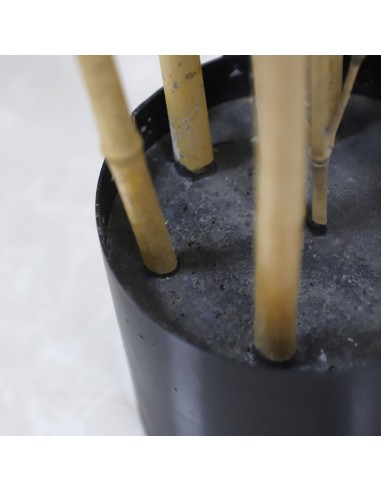 BAMBOO  NP5801_150_22_UV   ΥΨΟΣ 150cm