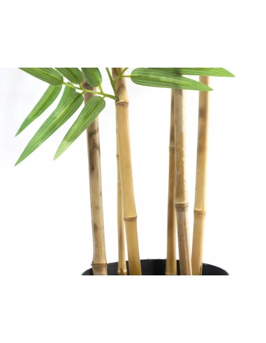 BAMBOO  NP5801_150_22_UV   ΥΨΟΣ 150cm