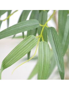 BAMBOO  NP5801_180_22_UV  ΥΨΟΣ 180cm 2