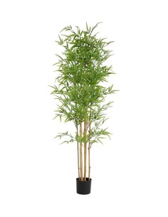 BAMBOO  NP6321_180_22  ΥΨΟΣ 180cm