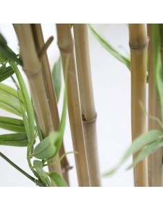 BAMBOO  NP6321_180_22  ΥΨΟΣ 180cm 2