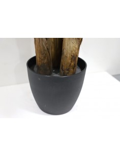 BANANA TREE NP6327_180_22  ΥΨΟΣ 180cm 2