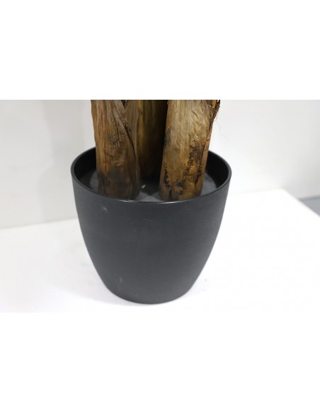 BANANA TREE NP6327_180_22  ΥΨΟΣ 180cm