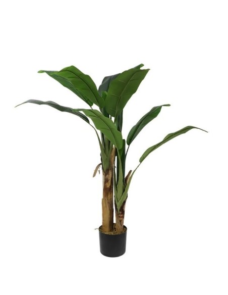 BANANA TREE NP702_145  ΥΨΟΣ 145cm
