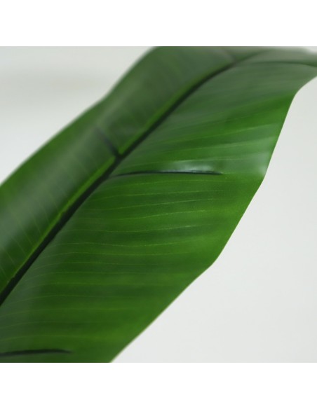 BANANA TREE NP702_145  ΥΨΟΣ 145cm