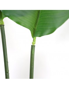 BIRD OF PARADISE  NP717_160  ΥΨΟΣ 160cm 2