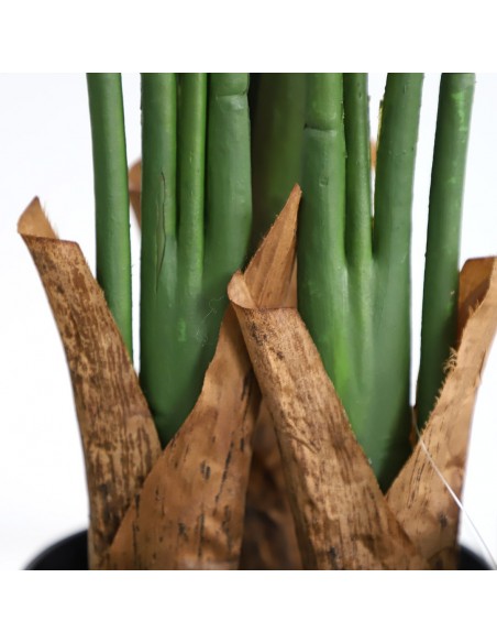 BIRD OF PARADISE  NP717_160  ΥΨΟΣ 160cm