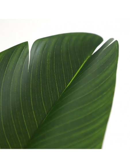 BIRD OF PARADISE  NP717_160  ΥΨΟΣ 160cm