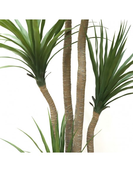 DRACAENA  NP_28_155  ΥΨΟΣ 155cm