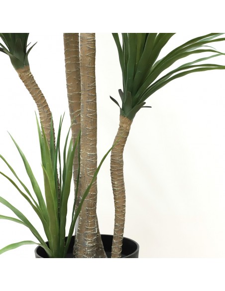DRACAENA  NP_28_155  ΥΨΟΣ 155cm