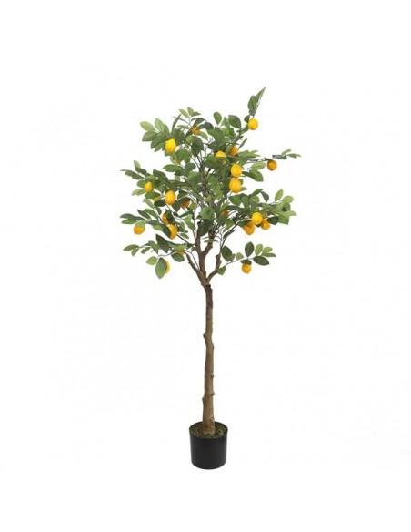 LEMON TREE  NP_30_170  ΥΨΟΣ 170cm