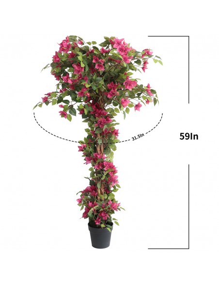 BOUGAINVILLEA  NP_34_160  ΥΨΟΣ 160cm