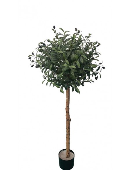 OLIVE TREE NP5807_150_22_UV ΥΨΟΣ 150cm