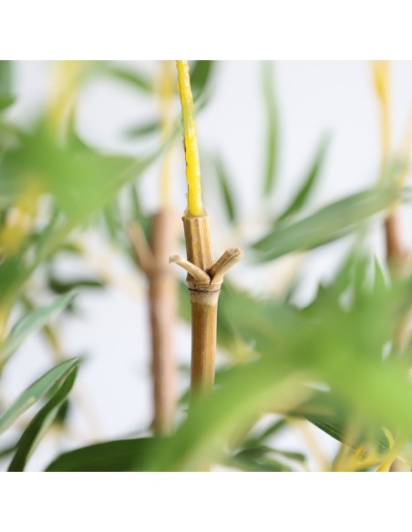 BAMBOO IN POT (L90XW30)  NP827_180_UV  ΥΨΟΣ 180cm