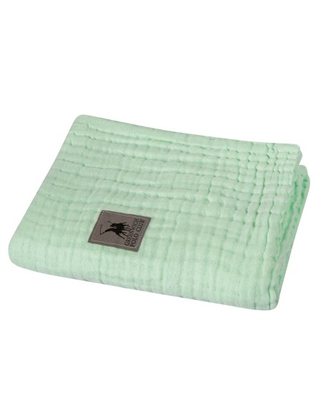 GREENWICH POLO CLUB ΚΟΥΒΕΡΤΑ 105Χ150 ΒΑΒΥ 2992 ΜΕΝΤΑ