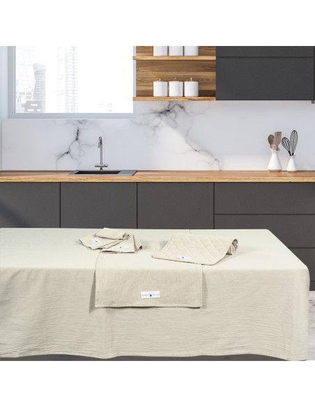 GREENWICH POLO CLUB ΣΕΤ ΠΕΤΣΕΤΕΣ ΚΟΥΖΙΝΑΣ 2TMX 30Χ45 2637 ΜΠΕΖ