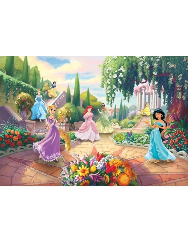 Παιδική φωτοταπετσαρία Disney Princess Park 368x254