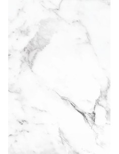 PVC MEGA PANEL 2.8/1220/2800mm CARRARA BIANCO 101