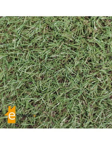 ΓΚΑΖΟΝ COSTA 5mm 2M