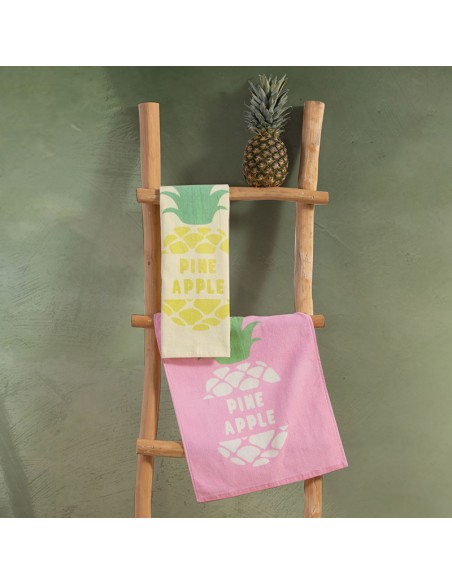 ΠΟΤΗΡΟΠΑΝΟ DELICIOUS ΒΕΛΟΥΤΕ 40Χ60 - ROSE