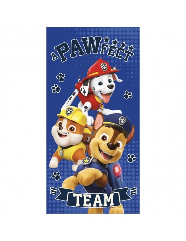 Πετσέτα Θαλάσσης Microfiber Paw Patrol Μπλε 70 x 140 cm