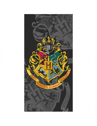 Πετσέτα Θαλάσσης Βαμβακερή Βελούδινη Harry Potter 320gsm Γκρι 70 x 140 cm