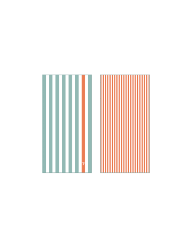 Σετ πετσετα θαλάσσης micro + τσαντακι 85x170...