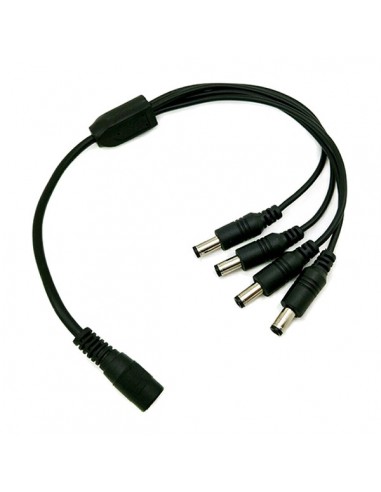 Feme Connector σε 4x Male Connector 5.5*2.1...