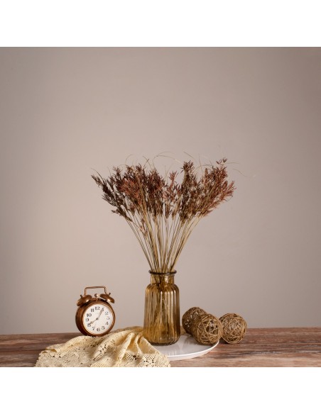 GloboStar® CYPERUS 36500 Αποξηραμένο Φυτό Κύπειρος - Μπουκέτο Διακοσμητικών Κλαδιών Μπεζ - Καφέ Υ60cm