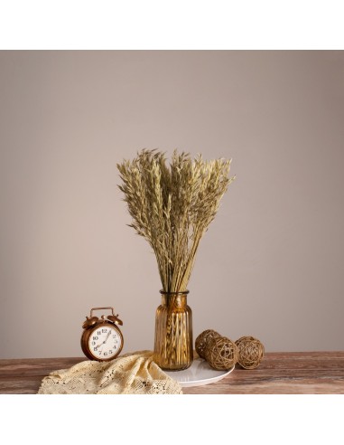 GloboStar® WILDOAT 36501 Αποξηραμένο Φυτό...