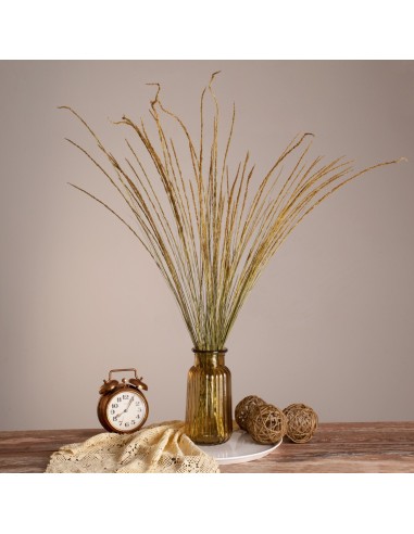 GloboStar® SMUTGRASS 36502 Αποξηραμένο Φυτό...