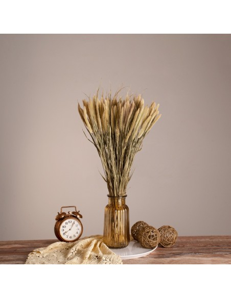 GloboStar® PENNISETUM 36503 Αποξηραμένο Φυτό Πεννήσιο - Μπουκέτο Διακοσμητικών Κλαδιών Μπεζ - Πράσινο Υ60cm