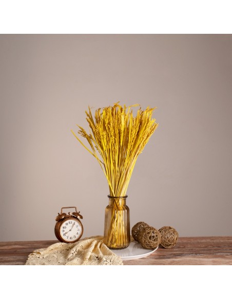 GloboStar® RISEGRASS 36506 Αποξηραμένο Φυτό Ρύζι - Μπουκέτο Διακοσμητικών Κλαδιών Μπεζ - Κίτρινο Υ60cm