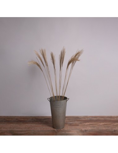 GloboStar® MISCANTHUS 36538 Αποξηραμένο Φυτό...