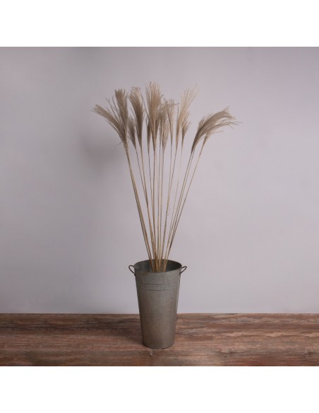 GloboStar® MISCANTHUS 36539 Αποξηραμένο Φυτό Μίσχανθος - Μπουκέτο Διακοσμητικών Κλαδιών Μπεζ Υ140cm