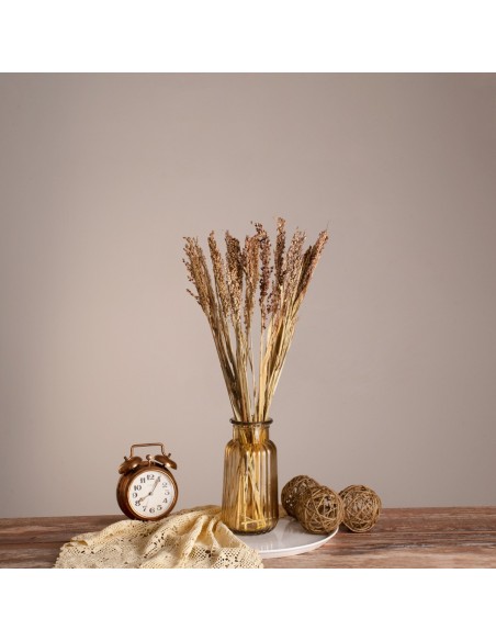 GloboStar® BROOMCORN 36540 Αποξηραμένο Φυτό Γλυκό Σόργο - Μπουκέτο Διακοσμητικών Κλαδιών Μπεζ - Καφέ Υ60cm