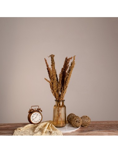 GloboStar® CURLYDOCK 36541 Αποξηραμένο Φυτό...