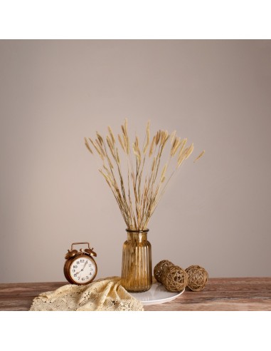 GloboStar® FOUNTAINGRASS 36542 Αποξηραμένο Φυτό...