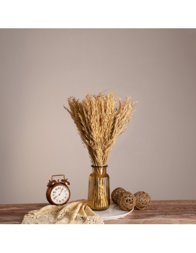 GloboStar® WILDOAT 36543 Αποξηραμένο Φυτό...