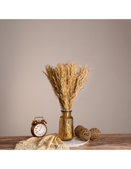 GloboStar® WILDOAT 36543 Αποξηραμένο Φυτό Αγριοβρώμη - Μπουκέτο Διακοσμητικών Κλαδιών Μπεζ Υ60cm