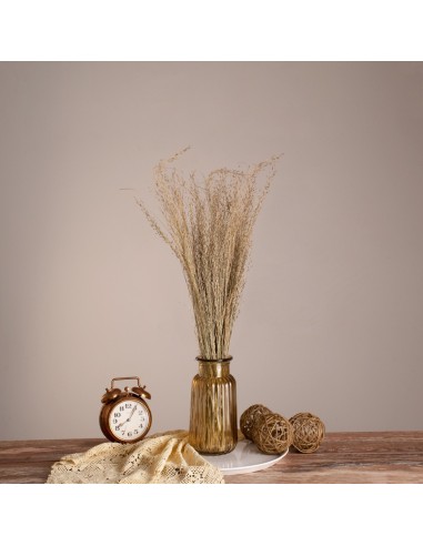 GloboStar® SILVERHAIRGRASS 36545 Αποξηραμένο...