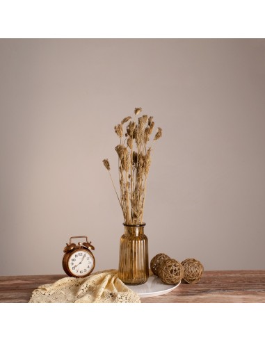 GloboStar® WILDCARROT 36546 Αποξηραμένο Φυτό...