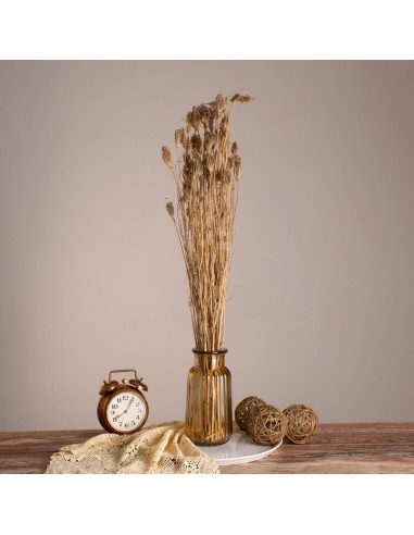 GloboStar® WILDCARROT 36547 Αποξηραμένο Φυτό...