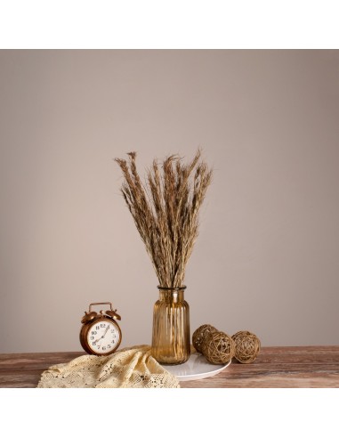 GloboStar® COLATAI 36549 Αποξηραμένο Φυτό...