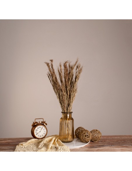 GloboStar® COLATAI 36549 Αποξηραμένο Φυτό Εράγρωστις - Μπουκέτο Διακοσμητικών Κλαδιών Μπεζ - Καφέ Υ60cm