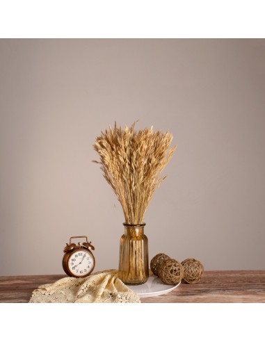 GloboStar® WHEAT 36550 Αποξηραμένο Φυτό Σίτος -...