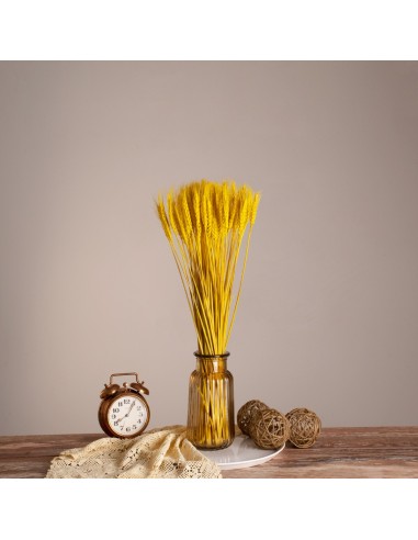 GloboStar® BARLEY 36552 Αποξηραμένο Φυτό...