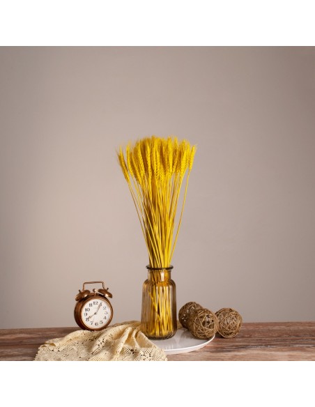 GloboStar® BARLEY 36552 Αποξηραμένο Φυτό Κριθάρι - Μπουκέτο Διακοσμητικών Κλαδιών Μπεζ - Κίτρινο Υ60cm