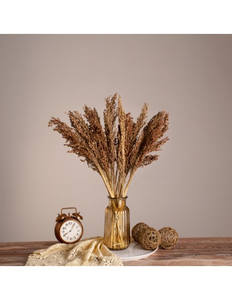 GloboStar® BROOMCORN 36553 Αποξηραμένο Φυτό Γλυκό Σόργο - Μπουκέτο Διακοσμητικών Κλαδιών Καφέ Υ60cm